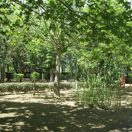 Camping Le Rebau Montblanc Luaran gambar